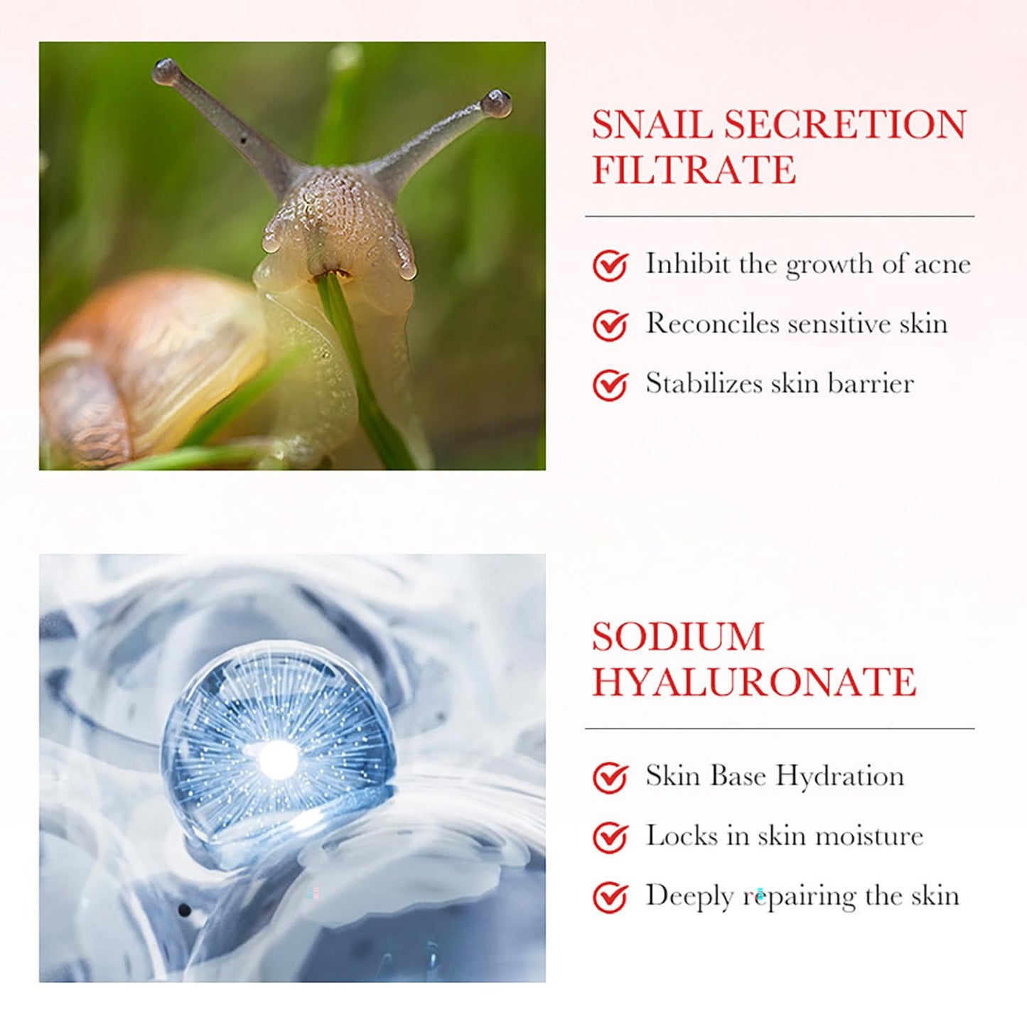 Snail Serum